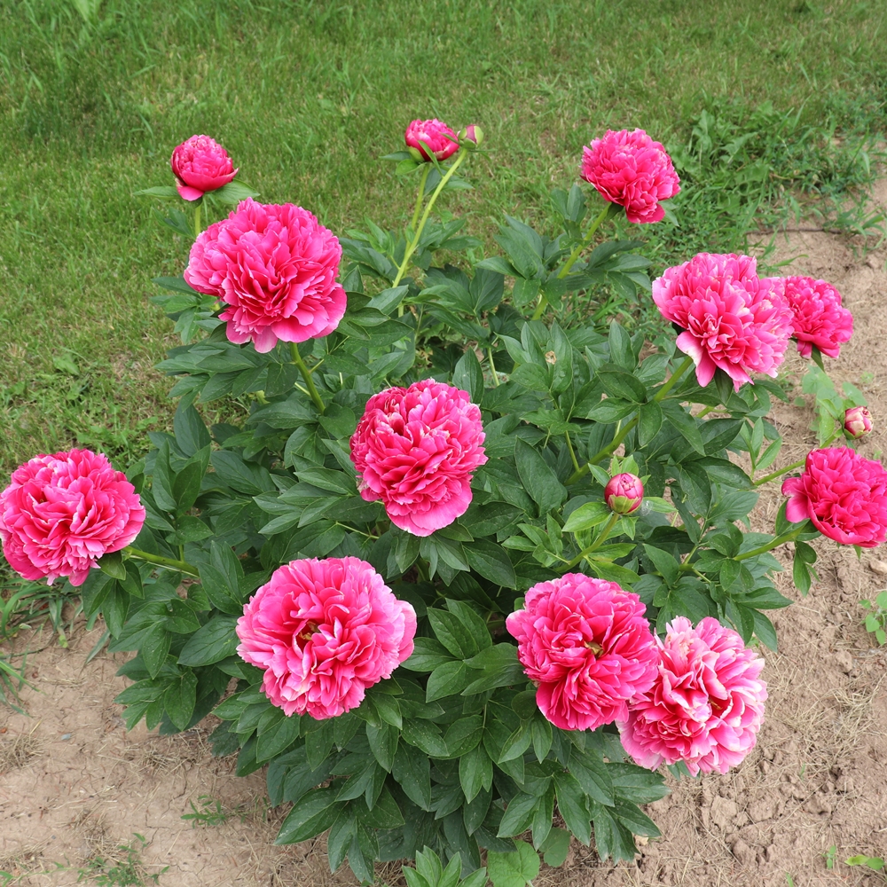 Mary Jo Legare - Image 2