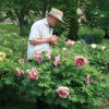 Seidl Numbered Seedlings - Group 1